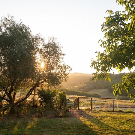 Agriturismo Le Tre Pietre - Podere Nel Chianti Quercegrossa Extérieur photo