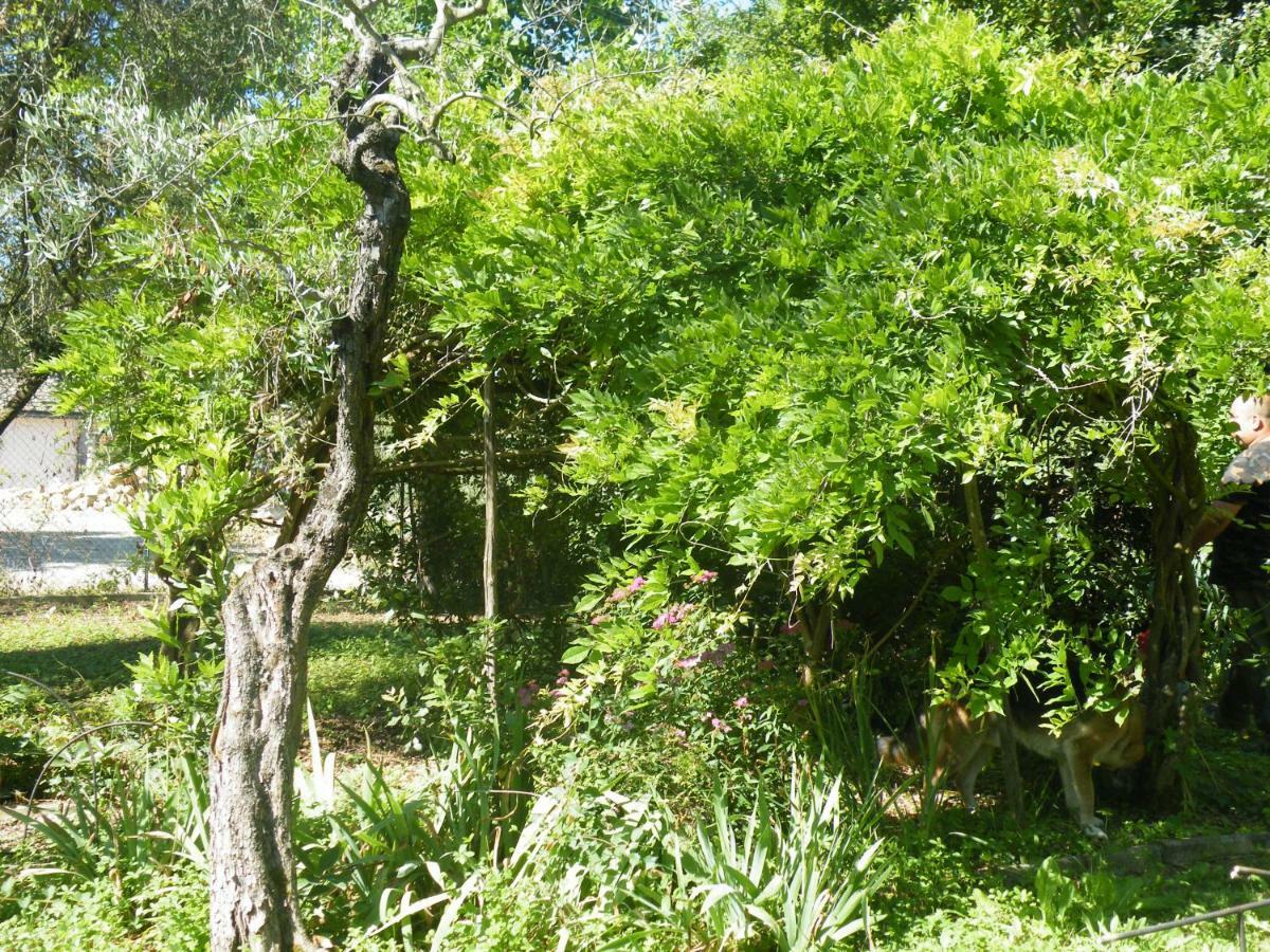 Agriturismo Le Tre Pietre - Podere Nel Chianti Quercegrossa Extérieur photo